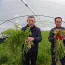 용성농협 이미지