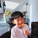 허밍버들 | 광주근교 장성호 산책하며 여유롭게 주말데이트 즐기는 장성카페 허밍버들