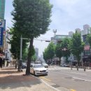 한독동물약국 네이버블로그