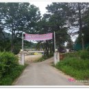 숲들내캠핑장 이미지