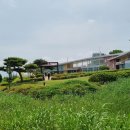 무안황토갯벌랜드B 이미지