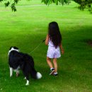 분당데이지동물병원 이미지