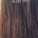 내머리어때미용실 | 내 머리 인생템 찾은 루원시티미용실 후기!