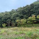 봄앤조이 스테이 | [파주 비오는 날 가볼만한 곳] 율곡수목원 경기도 당일치기 여행지 추천