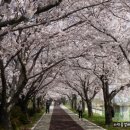 맥도생태공원 이미지