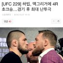 [UFC 229] 하빕, 맥그리거에 4R 초크승…경기 후 최대 난투극 이미지