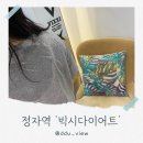 정자역 빅시다이어트 다이어트기기 관리 후기