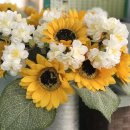 뷰티 앤 도그쇼 이미지