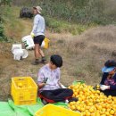 지리산 산뜨락 이미지