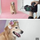 오팔농장2농장 이미지