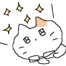 패션양재(주간) 이미지