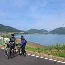 서부해안로(안치) 이미지