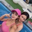 오푸스11 이미지