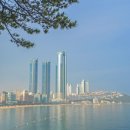 KJ행정사사무소 이미지