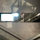 압구정토이스토리 이미지