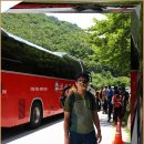 솔솔바람 이미지