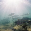 비상태권도장 이미지