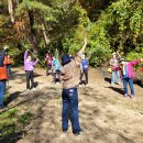 강동구치매안심센터 이미지