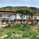 볼거리민박 이미지