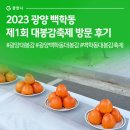 진상면 백학동커뮤니티센터 | 2023 광양 백학동 제1회 대봉감축제 방문 후기 #광양대봉감 #광양백학동대봉감 #백학동대봉감축제