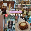 어피룻 | 제주공항 근처 카페 어피룻 : 노형동 건강한 디저트 저당 통밀스콘 맛집 내돈내산 후기