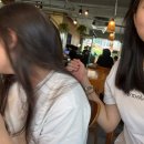 백영단 | 여름의 끝에서