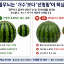 장사마트