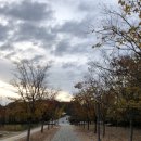 청라 노을공원 스케이트플라자 이미지