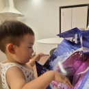 마술피리 | 대구어린이서점추천 마술피리어린이서점 온누리대구어린이점