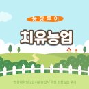 동기농장 | 인천 치유농장 "사리울농장" [신한대학교 대학원 치유농업사 과정 현장실습 후기] 포천딸기힐링팜 농장투어