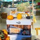 숲에오름협동조합 이미지