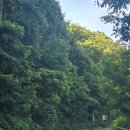 펜션퀸피크닉 이미지