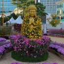 선재어린이집 | [서울 종로구] 서울 조계사 -제15회 조계사 국화화엄축제