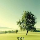 임마누엘 이미지