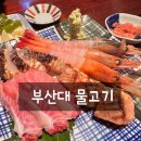 부산대 이자카야 물고기, 가성비 폭발하는 알뜰코스 솔직후기