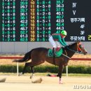 퍼스트 골든 이미지