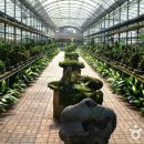 석부작박물관 이미지