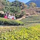 (주)삶은여행 이미지