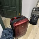 위즈디아 이미지