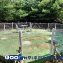 카페시소 - 연수구 샘말로 15-1 | 카페시소