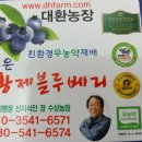 대환 농장 이미지