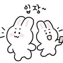 풀덤순천조례점 이미지