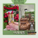 오일시2길 | 브리사뜰 영도가볼만한곳 추천,아로마 힐링 데이트 체험 후기