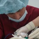 더바디2.0의원 이미지