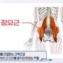 리바디 운동센터 이미지