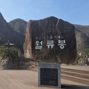 3월14일(토)영동 여행 (월류봉 둘레길과 와인 전망대 ) 이미지
