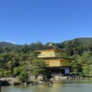 「남(男)다른 그 신사의 하루」 | 오사카에서 교토 당일치기| 하루하루 투어 교토 버스 투어 솔직후기_3탄