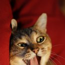 할수있다 국어2 이미지