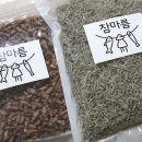 지에스25사천남광