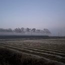 봉소3리 이미지